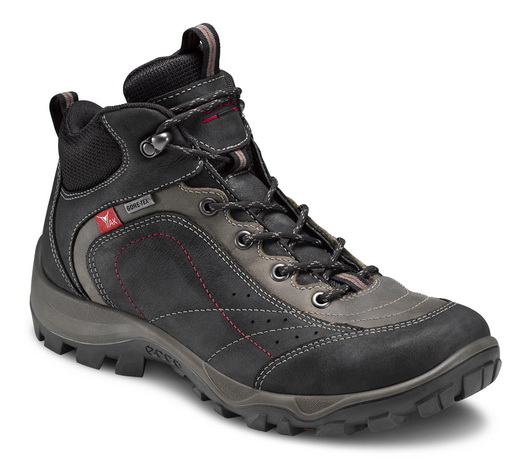 ECCO Men Outdoor XPEDITION II Outlet Coupons