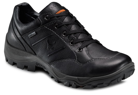 ECCO Men Outdoor XPEDITION II Outlet Coupons